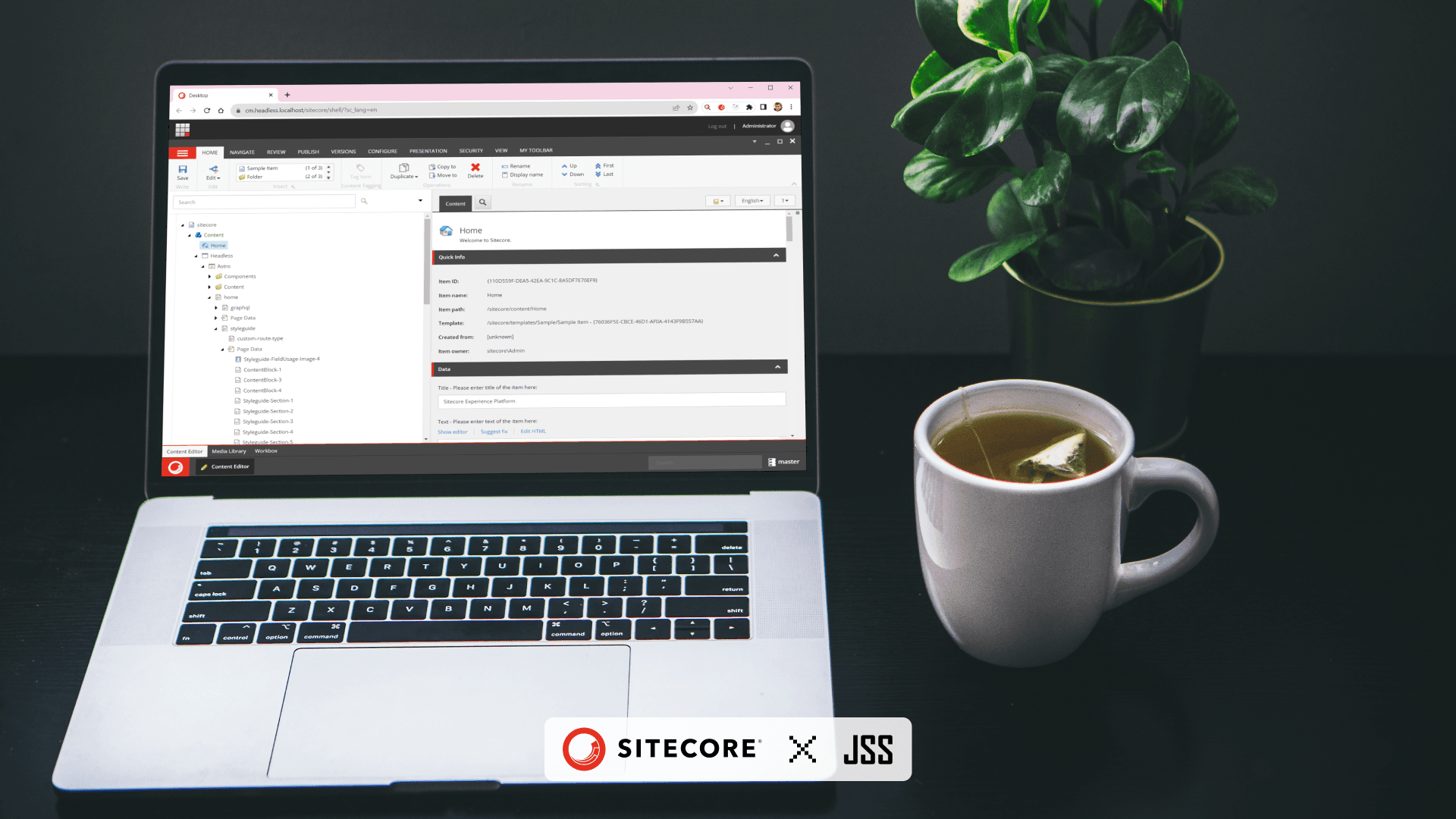 Cover Image for How to Build Your Own Framework Implementation for Sitecore JSS? 