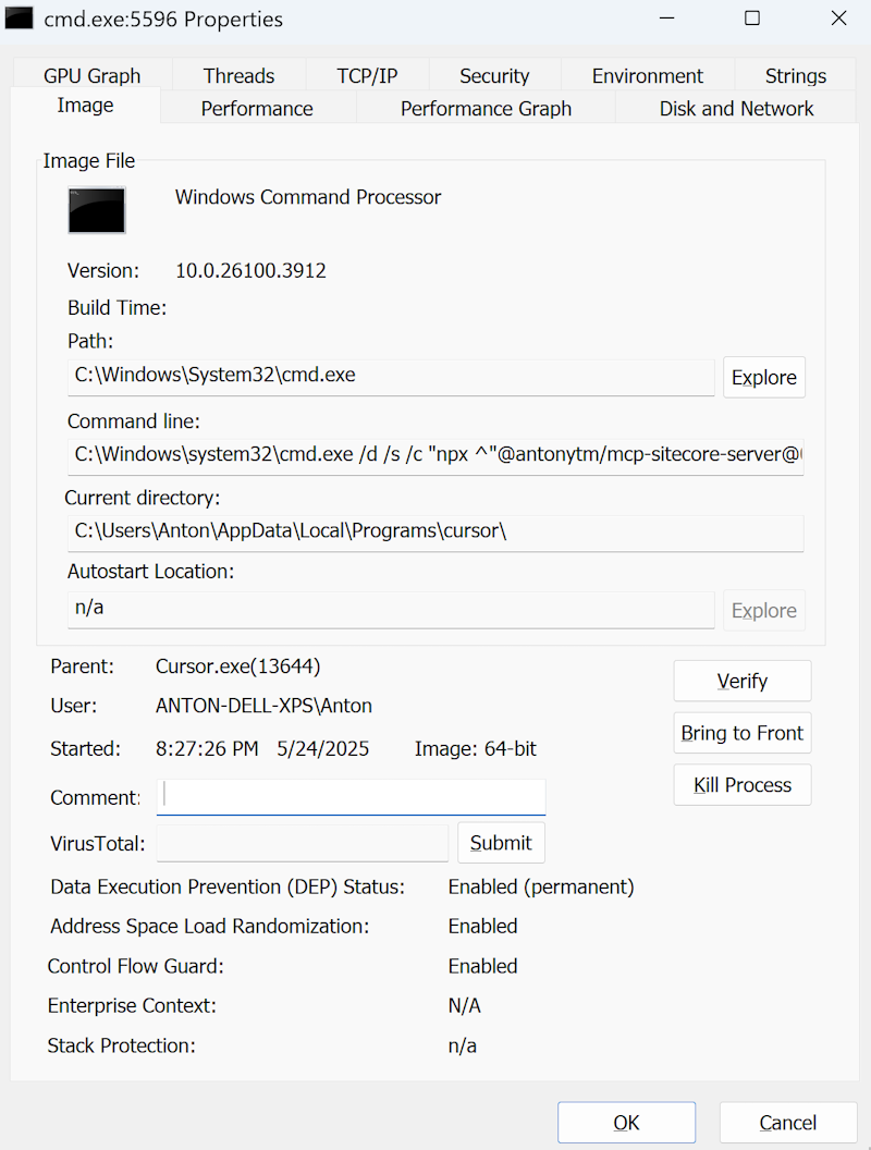 MCP Server Process Details